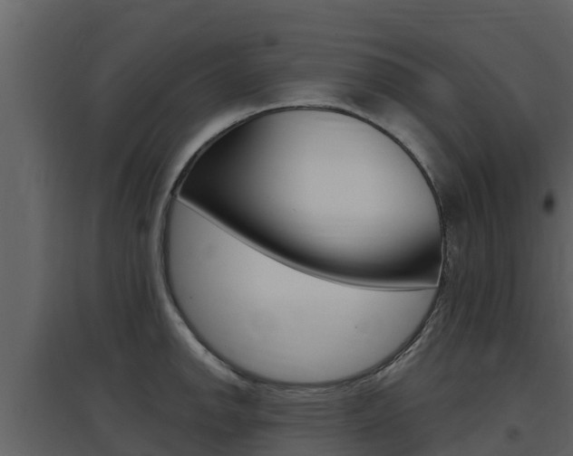 X0000097851142200803140851
