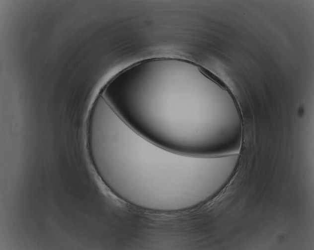 X0000097851144200803140851