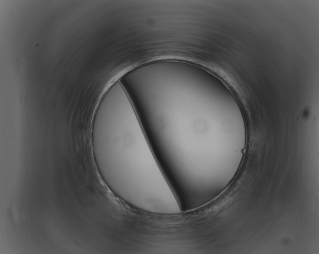 X0000097851145200803140851