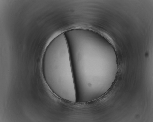 X0000097851146200803140851