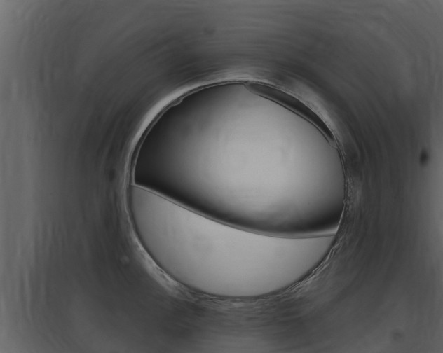 X0000097851148200803140851
