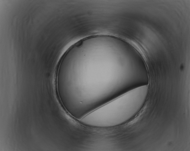 X0000097851149200803140851