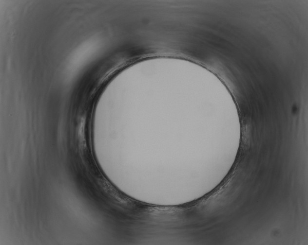 X0000097851150200803140851