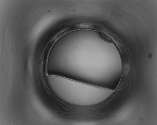 X0000097851151200803140851