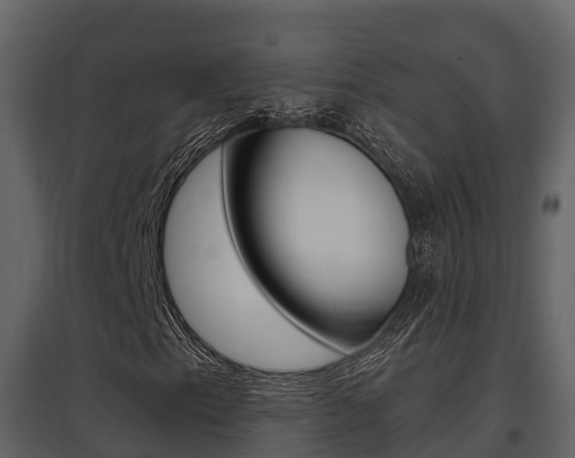 X0000097851153200803140850
