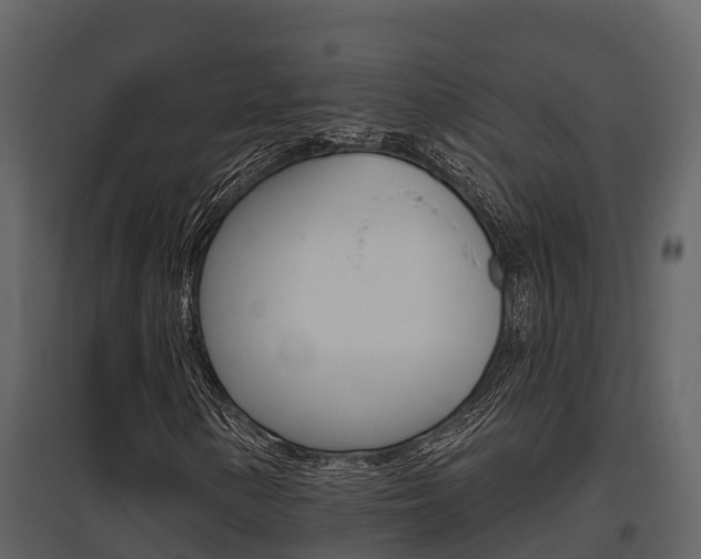 X0000097851154200803140850