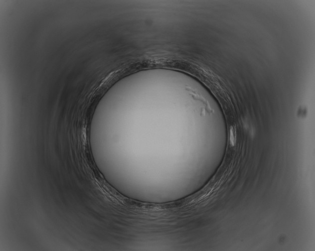 X0000097851155200803140850