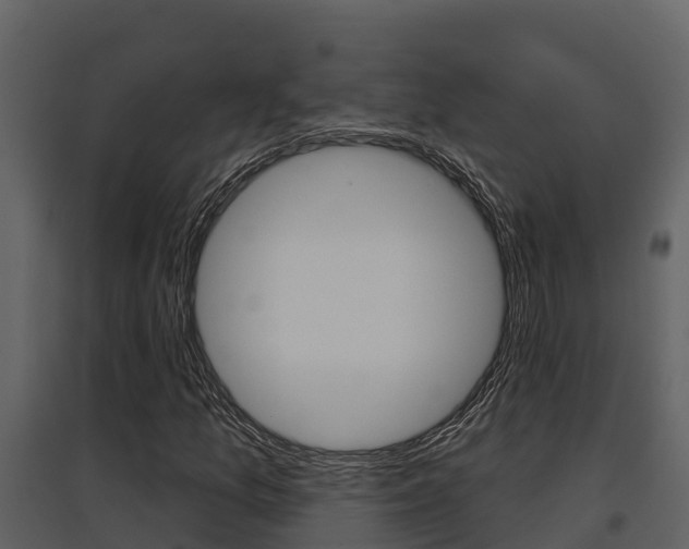 X0000097851157200803140850