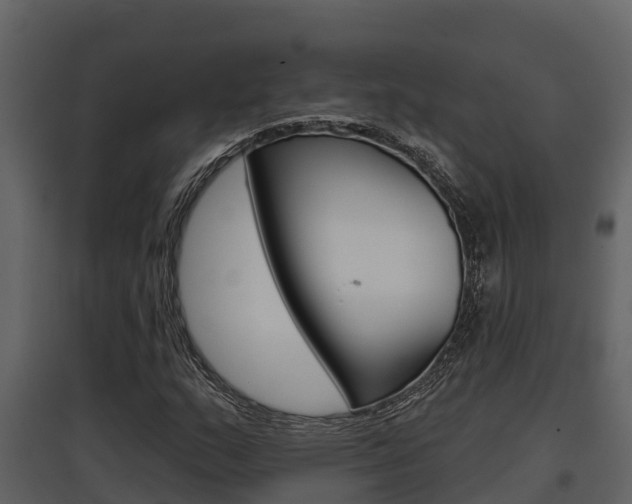 X0000097851159200803140850