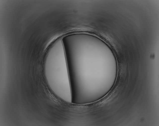 X0000097851163200803140850