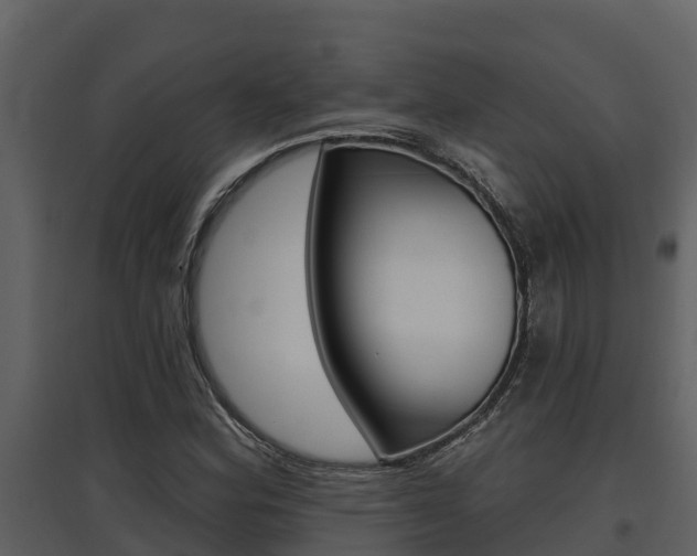 X0000097851164200803140850