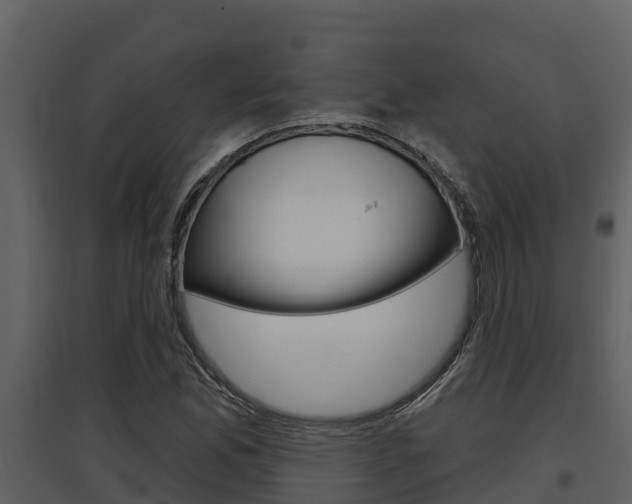 X0000097851165200803140850