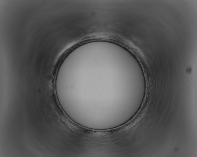 X0000097851166200803140850