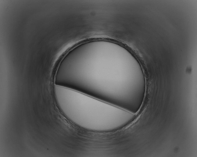 X0000097851167200803140850