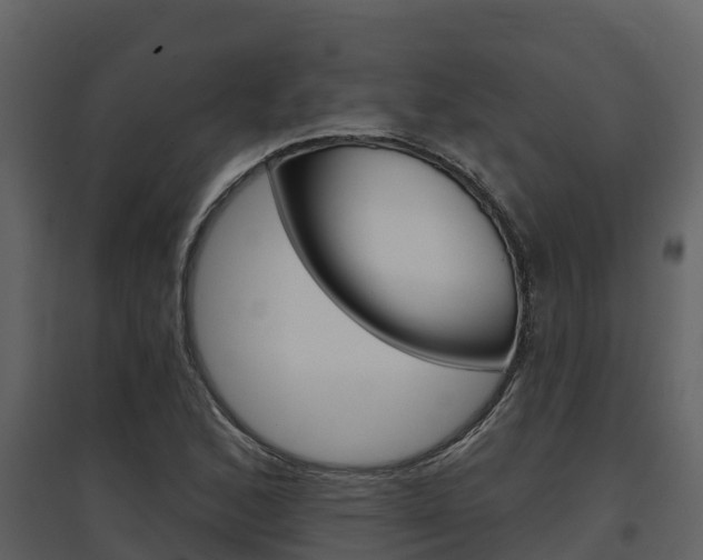 X0000097851168200803140850