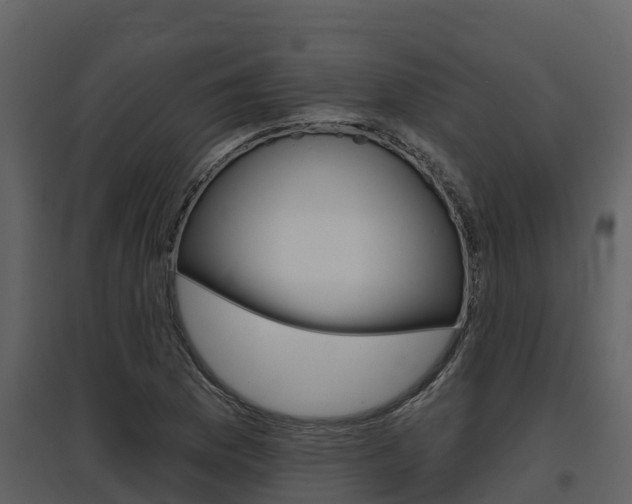 X0000097851169200803140850
