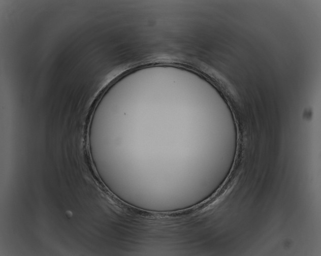 X0000097851170200803140850