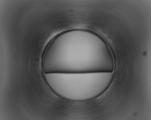 X0000097851174200803140850