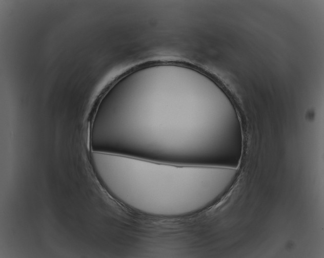 X0000097851175200803140850