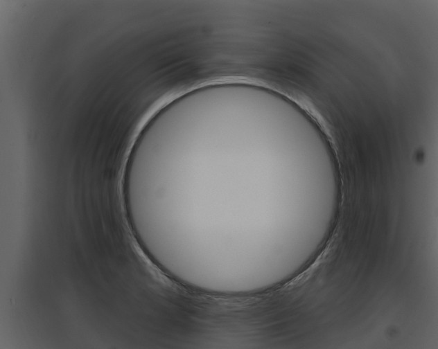 X0000097851181200803140850