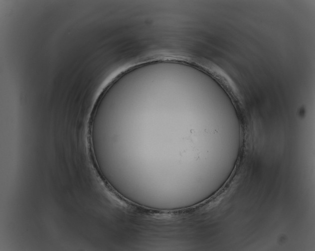 X0000097851182200803140850