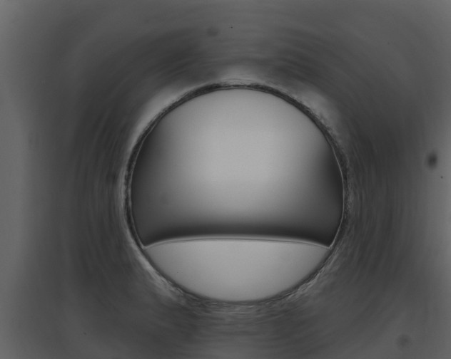 X0000097851183200803140850