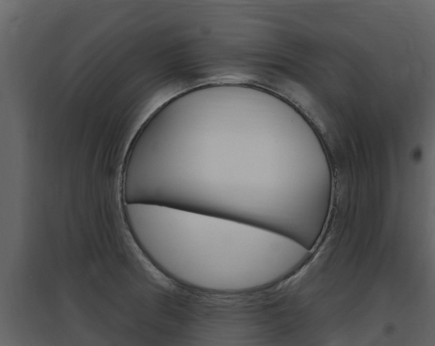 X0000097851186200803140850