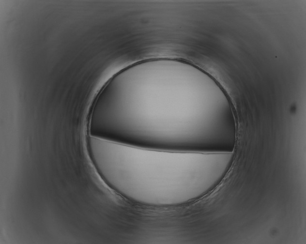X0000097851187200803140850