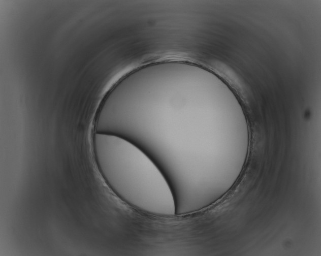 X0000097851190200803140850