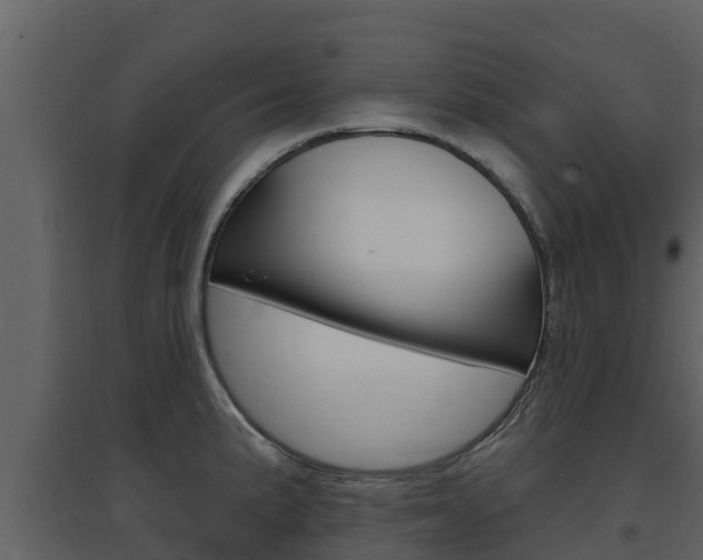 X0000097851191200803140850