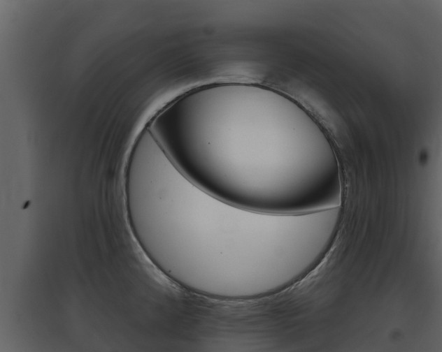 X0000097851192200803140850
