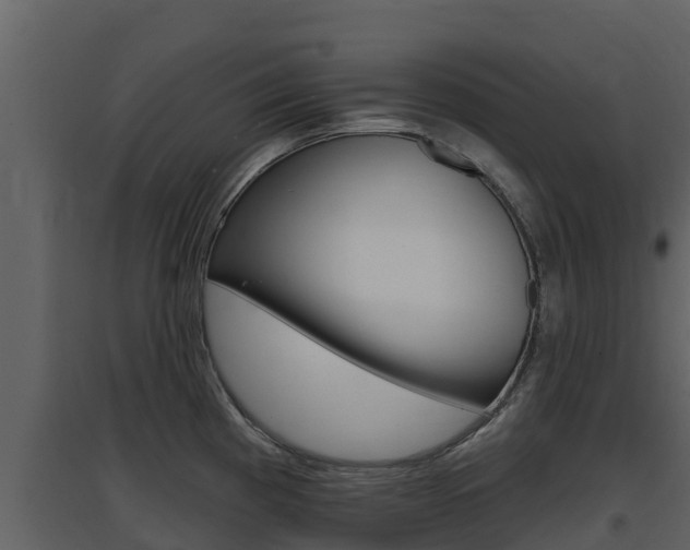 X0000097851193200803140850