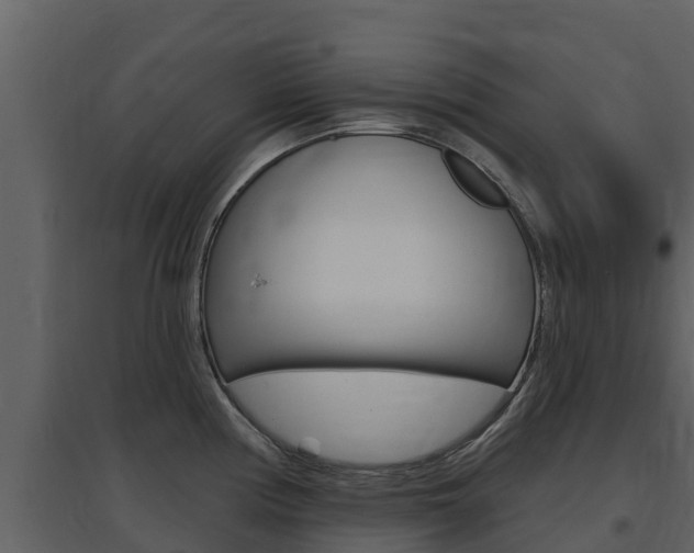 X0000097851194200803140850