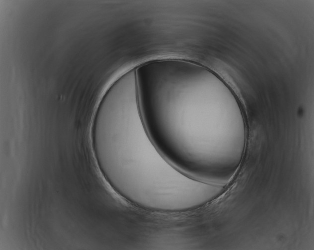 X0000097851197200803140849