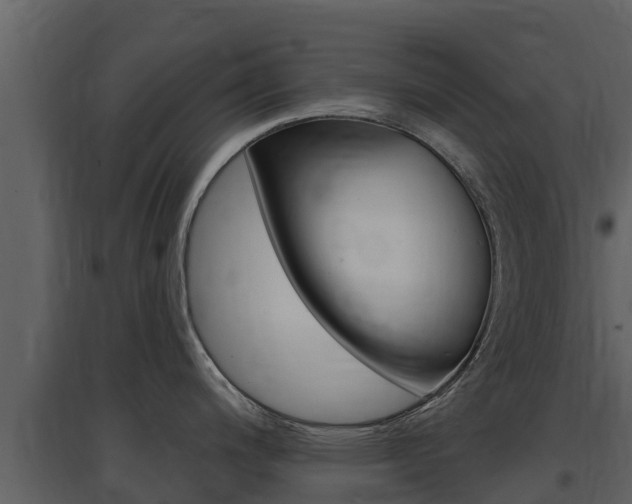 X0000097851200200803140849
