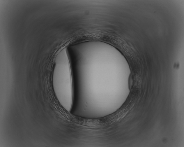 X0000097851201200803140849