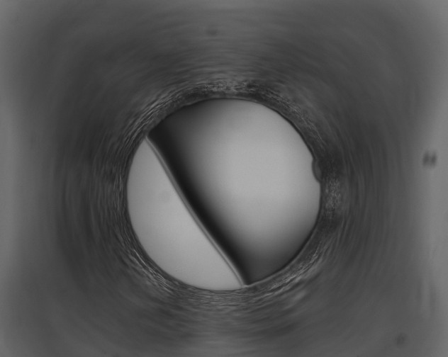 X0000097851202200803140849