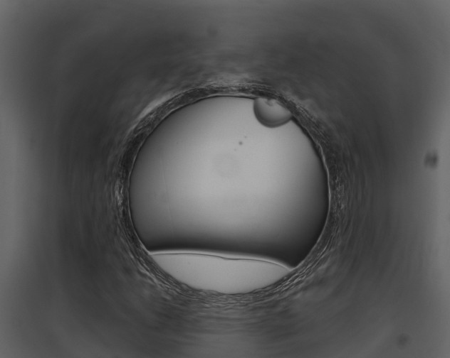 X0000097851206200803140849