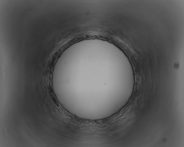 X0000097851207200803140849