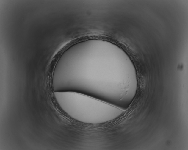 X0000097851208200803140849