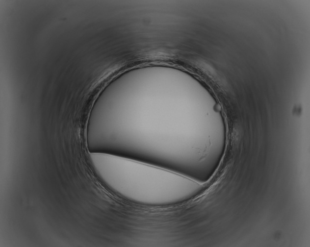X0000097851209200803140849