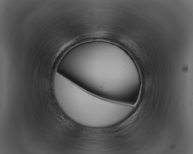 X0000097851210200803140849