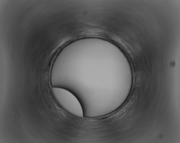 X0000097851211200803140849