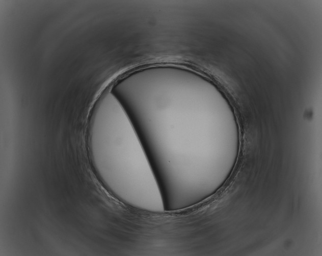 X0000097851212200803140849
