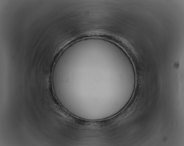 X0000097851217200803140849