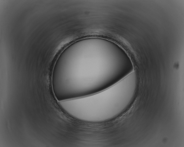 X0000097851218200803140849