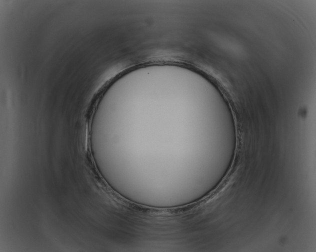 X0000097851219200803140849