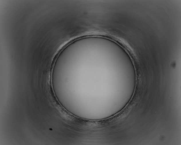 X0000097851220200803140849