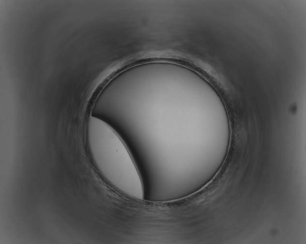 X0000097851221200803140849