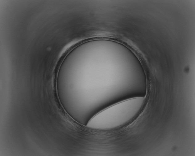 X0000097851222200803140849